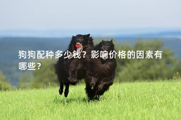 狗狗配种多少钱?影响价格的因素有哪些? 狗狗配种多少钱?影响价格的因素有哪些?