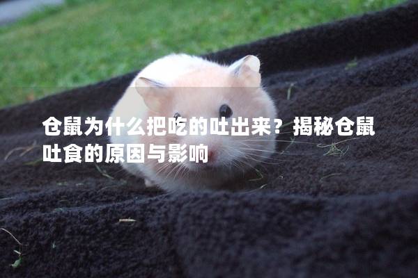 仓鼠为什么把吃的吐出来？揭秘仓鼠吐食的原因与影响
