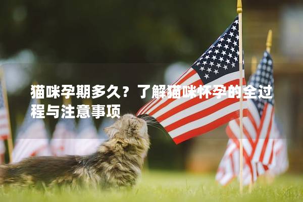 猫咪孕期多久？了解猫咪怀孕的全过程与注意事项