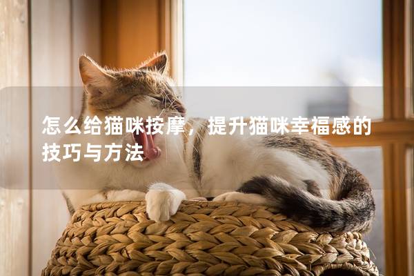 怎么给猫咪按摩,提升猫咪幸福感的技巧与方法 怎么给猫咪按摩,提升猫咪幸福感的技巧与方法