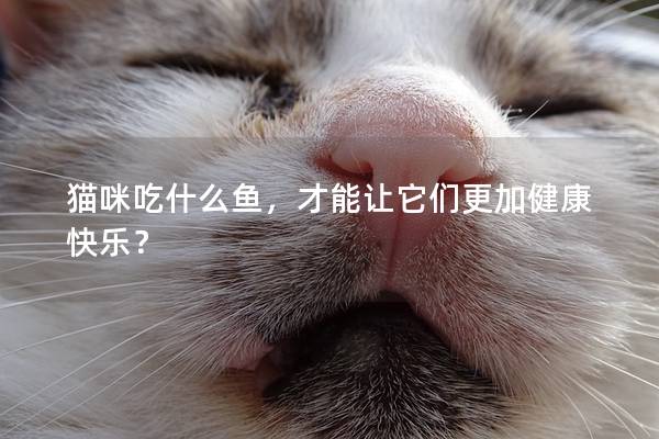 猫咪吃什么鱼，才能让它们更加健康快乐？