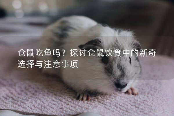 仓鼠吃鱼吗？探讨仓鼠饮食中的新奇选择与注意事项