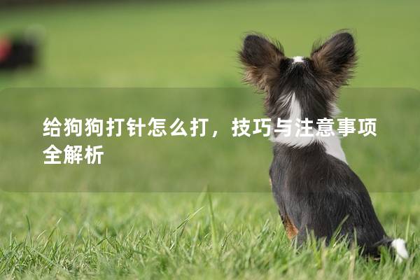给狗狗打针怎么打，技巧与注意事项全解析