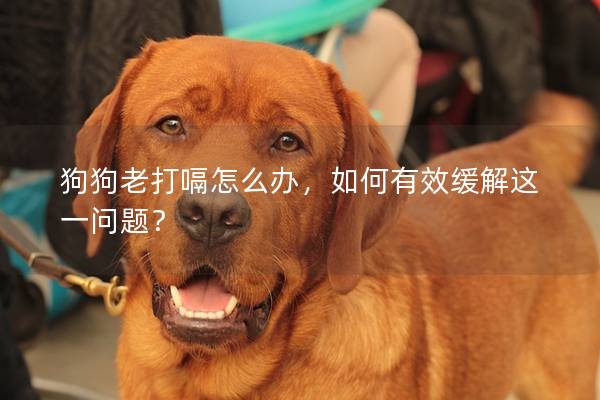 狗狗老打嗝怎么办，如何有效缓解这一问题？