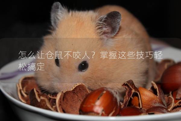 怎么让仓鼠不咬人？掌握这些技巧轻松搞定