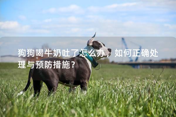 狗狗喝牛奶吐了怎么办，如何正确处理与预防措施？