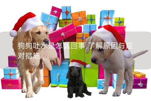 狗狗吐水是怎么回事,了解原因与应对措施