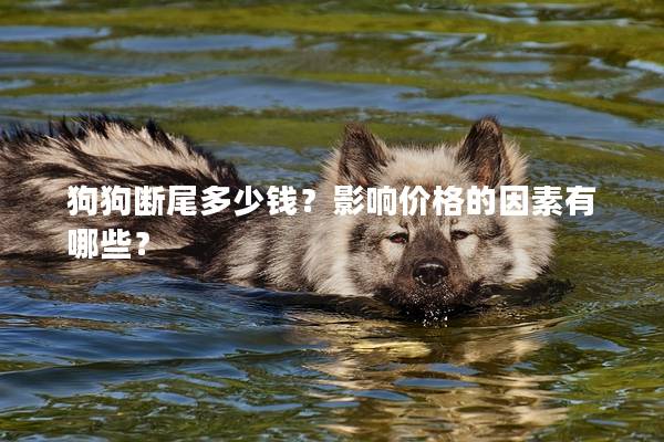 狗狗断尾多少钱？影响价格的因素有哪些？
