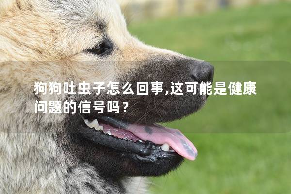 狗狗吐虫子怎么回事,这可能是健康问题的信号吗？