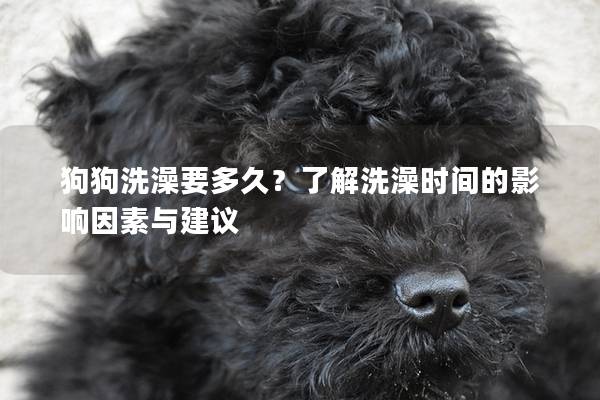 狗狗洗澡要多久?了解洗澡时间的影响因素与建议 狗狗洗澡要多久?了解洗澡时间的影响因素与建议