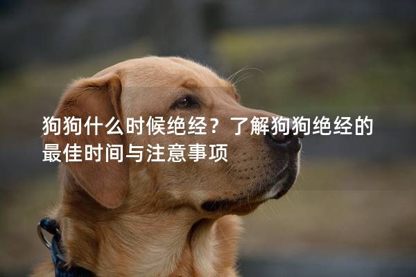狗狗什么时候绝经？了解狗狗绝经的最佳时间与注意事项