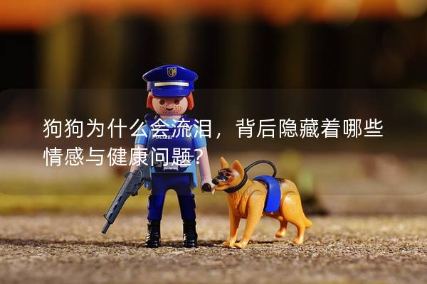 狗狗为什么会流泪，背后隐藏着哪些情感与健康问题？