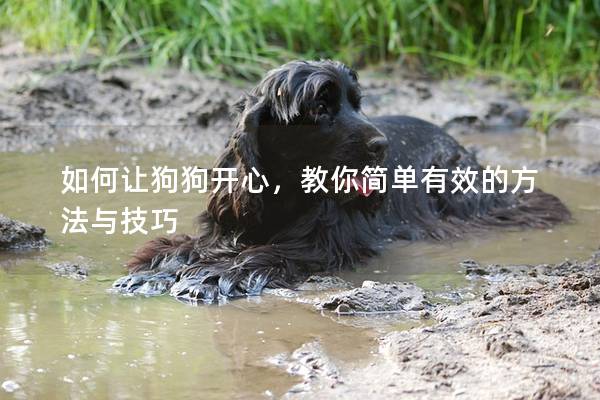 如何让狗狗开心，教你简单有效的方法与技巧