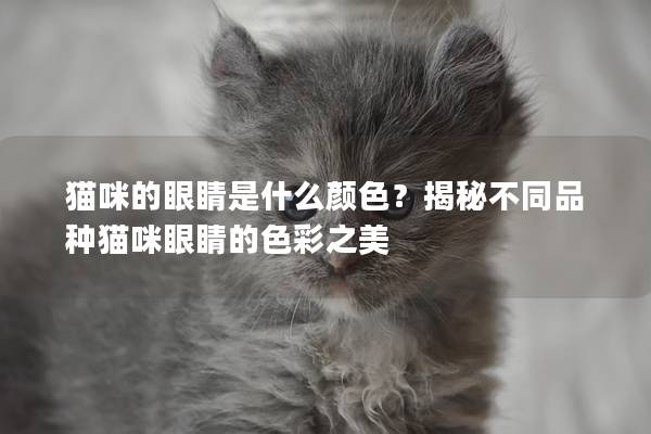 猫咪的眼睛是什么颜色?揭秘不同品种猫咪眼睛的色彩之美 猫咪的眼睛是什么颜色?揭秘不同品种猫咪眼睛的色彩之美