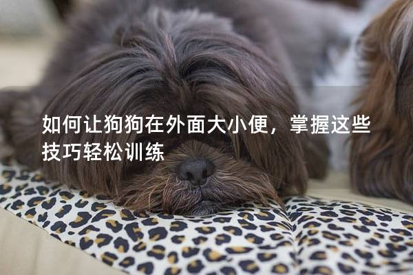 如何让狗狗在外面大小便，掌握这些技巧轻松训练