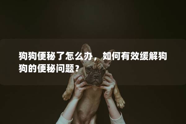 狗狗便秘了怎么办,如何有效缓解狗狗的便秘问题? 狗狗便秘了怎么办,如何有效缓解狗狗的便秘问题?