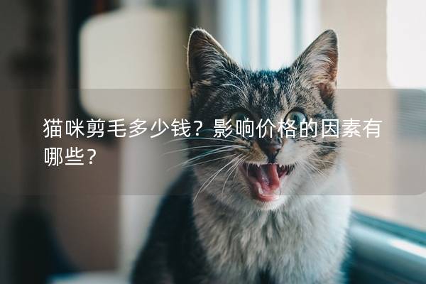猫咪剪毛多少钱?影响价格的因素有哪些? 猫咪剪毛多少钱?影响价格的因素有哪些?
