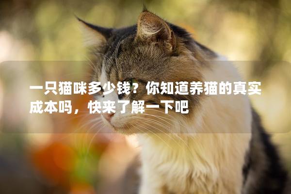 一只猫咪多少钱？你知道养猫的真实成本吗，快来了解一下吧