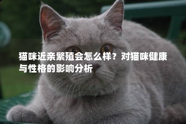 猫咪近亲繁殖会怎么样？对猫咪健康与性格的影响分析