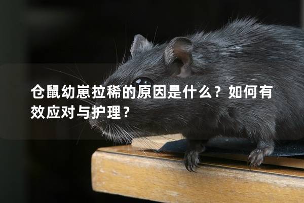 仓鼠幼崽拉稀的原因是什么？如何有效应对与护理？