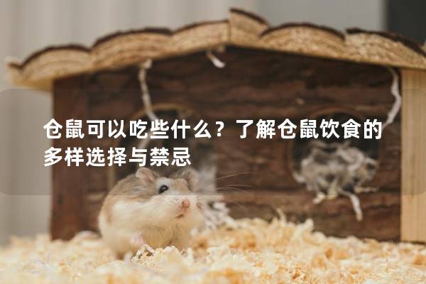 仓鼠可以吃些什么？了解仓鼠饮食的多样选择与禁忌