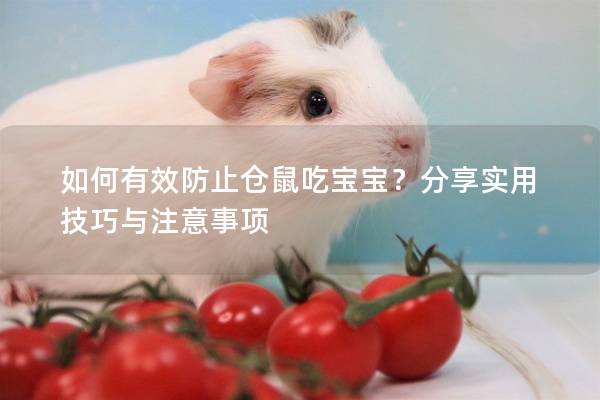 如何有效防止仓鼠吃宝宝？分享实用技巧与注意事项