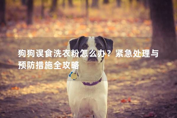 狗狗误食洗衣粉怎么办？紧急处理与预防措施全攻略