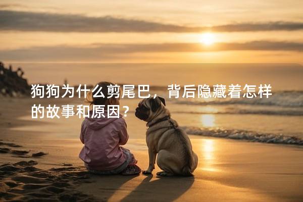 狗狗为什么剪尾巴，背后隐藏着怎样的故事和原因？