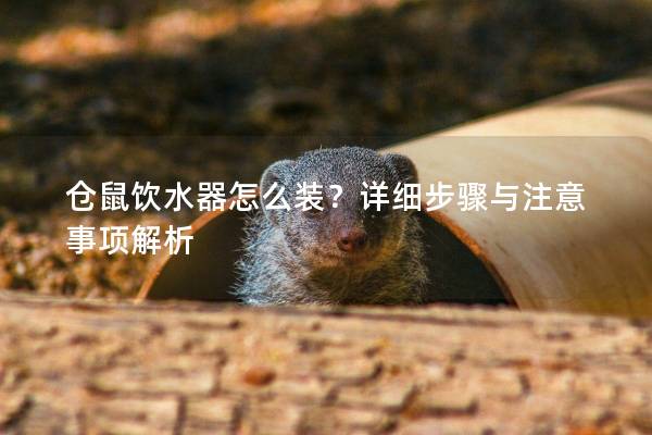 仓鼠饮水器怎么装？详细步骤与注意事项解析