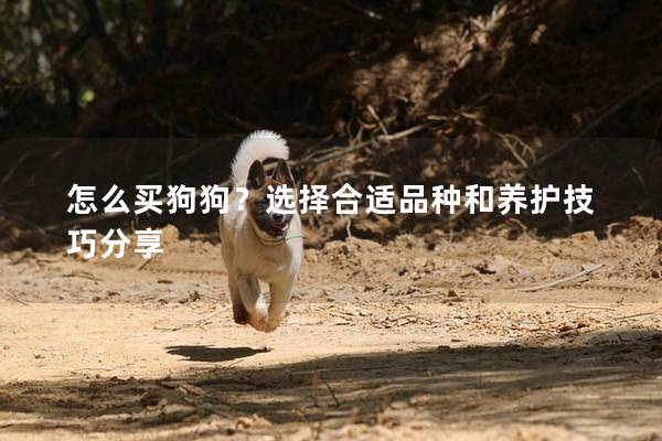 怎么买狗狗?选择合适品种和养护技巧分享 怎么买狗狗?选择合适品种和养护技巧分享