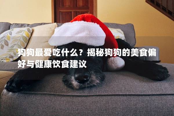 狗狗最爱吃什么？揭秘狗狗的美食偏好与健康饮食建议