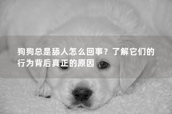 狗狗总是舔人怎么回事？了解它们的行为背后真正的原因