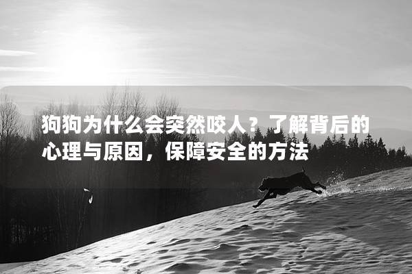 狗狗为什么会突然咬人？了解背后的心理与原因，保障安全的方法