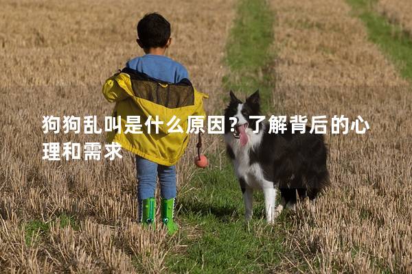 狗狗乱叫是什么原因？了解背后的心理和需求