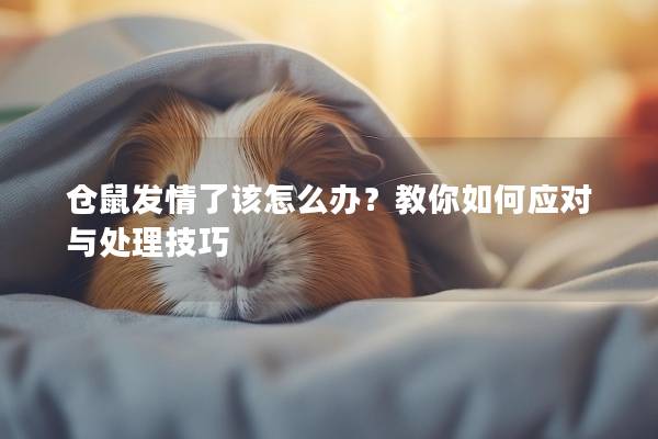 仓鼠发情了该怎么办？教你如何应对与处理技巧