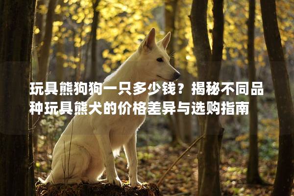 玩具熊狗狗一只多少钱？揭秘不同品种玩具熊犬的价格差异与选购指南