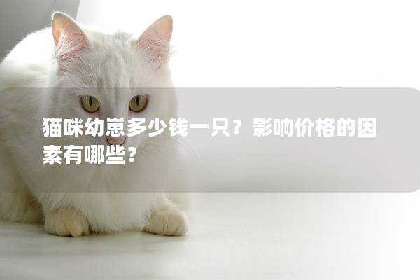 猫咪幼崽多少钱一只?影响价格的因素有哪些? 猫咪幼崽多少钱一只?影响价格的因素有哪些?