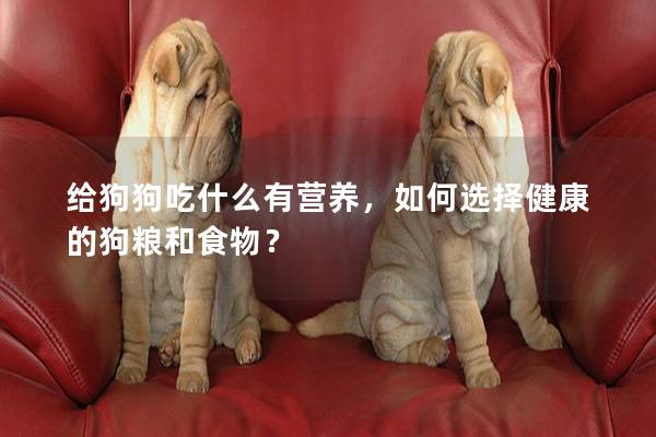 给狗狗吃什么有营养，如何选择健康的狗粮和食物？