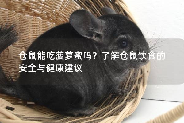 仓鼠能吃菠萝蜜吗？了解仓鼠饮食的安全与健康建议