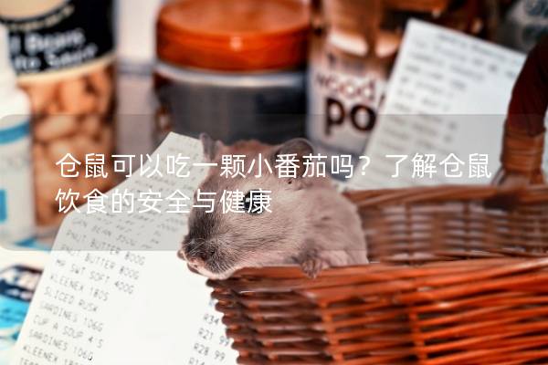 仓鼠可以吃一颗小番茄吗?了解仓鼠饮食的安全与健康 仓鼠可以吃一颗小番茄吗?了解仓鼠饮食的安全与健康