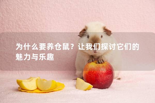 为什么要养仓鼠？让我们探讨它们的魅力与乐趣