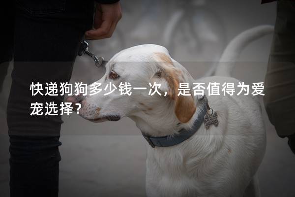 快递狗狗多少钱一次,是否值得为爱宠选择? 快递狗狗多少钱一次,是否值得为爱宠选择?