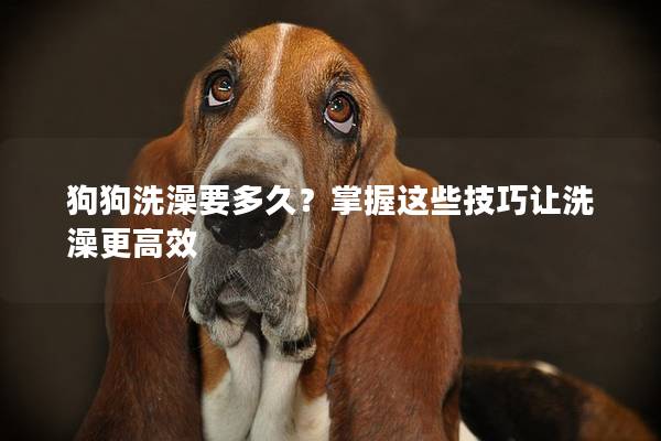 狗狗洗澡要多久?掌握这些技巧让洗澡更高效 狗狗洗澡要多久?掌握这些技巧让洗澡更高效
