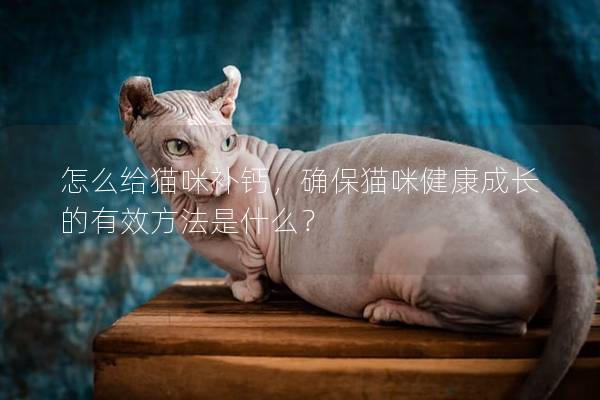 怎么给猫咪补钙，确保猫咪健康成长的有效方法是什么？