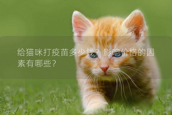 给猫咪打疫苗多少钱?影响价格的因素有哪些? 给猫咪打疫苗多少钱?影响价格的因素有哪些?