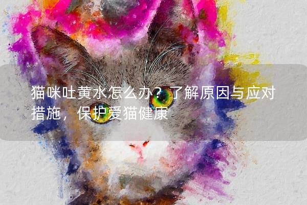 猫咪吐黄水怎么办？了解原因与应对措施，保护爱猫健康