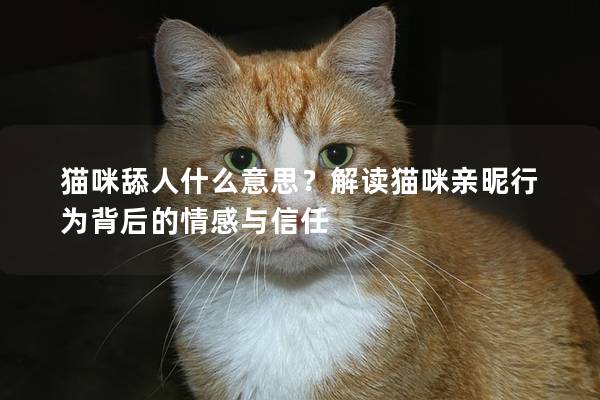 猫咪舔人什么意思？解读猫咪亲昵行为背后的情感与信任