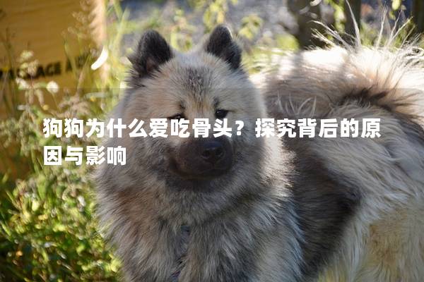 狗狗为什么爱吃骨头？探究背后的原因与影响
