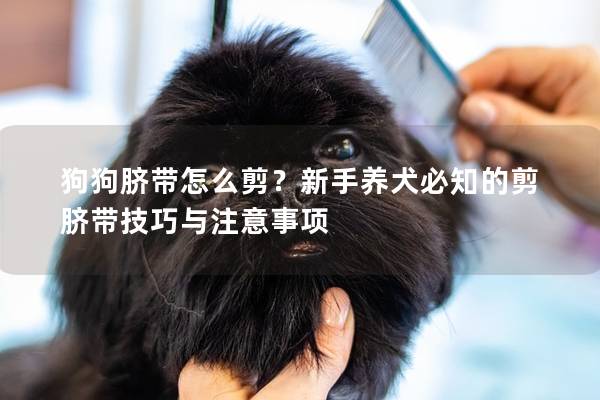 狗狗脐带怎么剪?新手养犬必知的剪脐带技巧与注意事项 狗狗脐带怎么剪?新手养犬必知的剪脐带技巧与注意事项