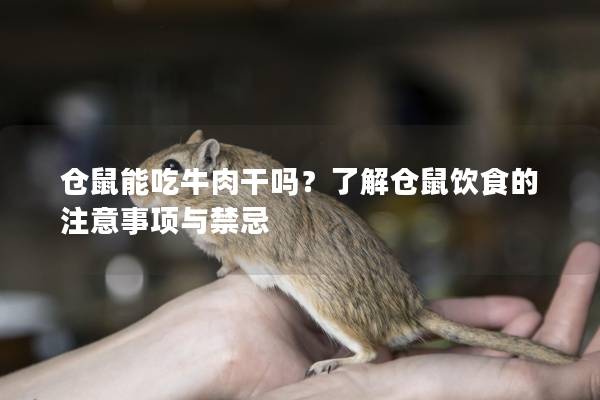 仓鼠能吃牛肉干吗？了解仓鼠饮食的注意事项与禁忌